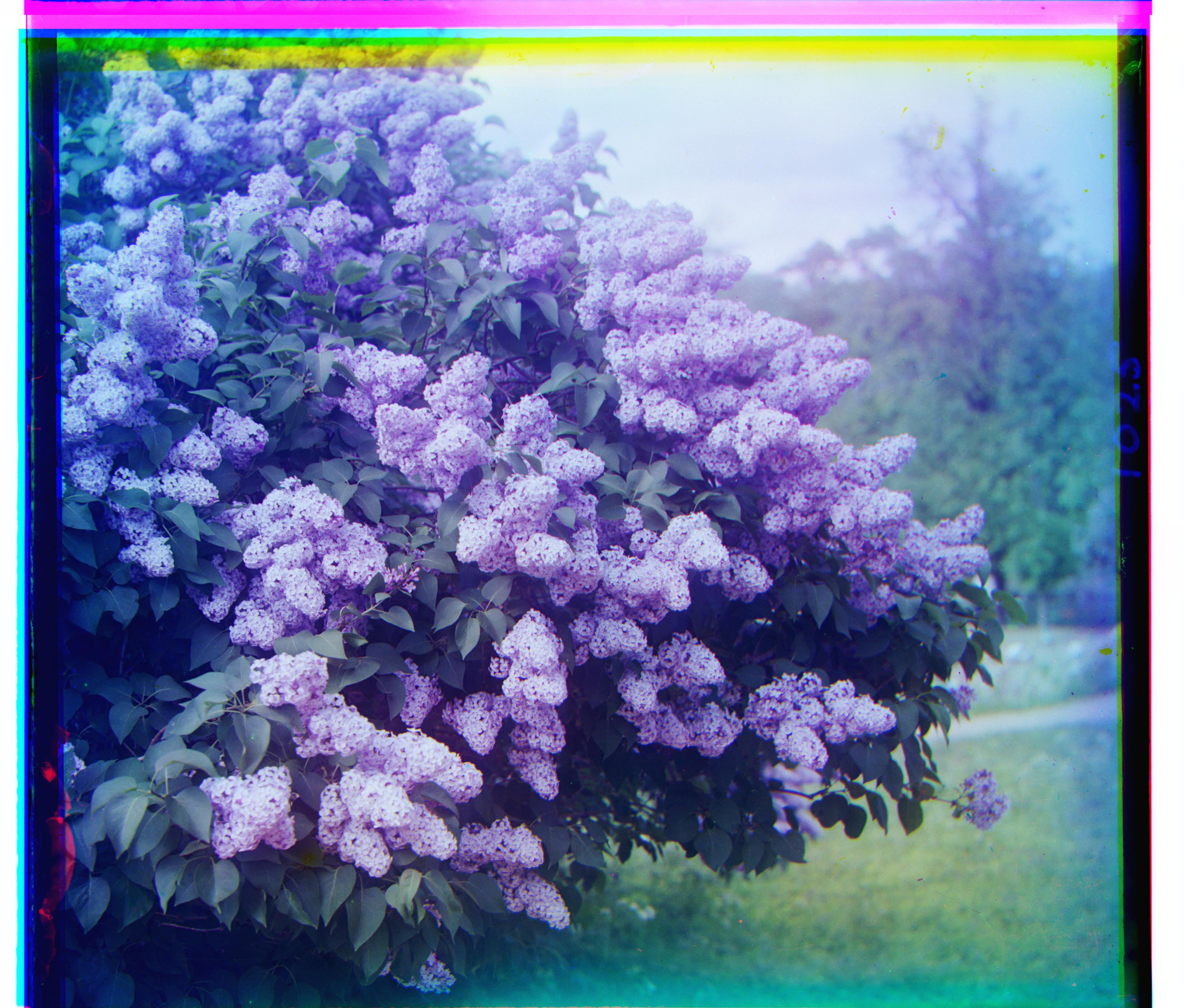 align image