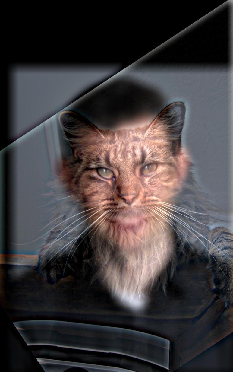 q2