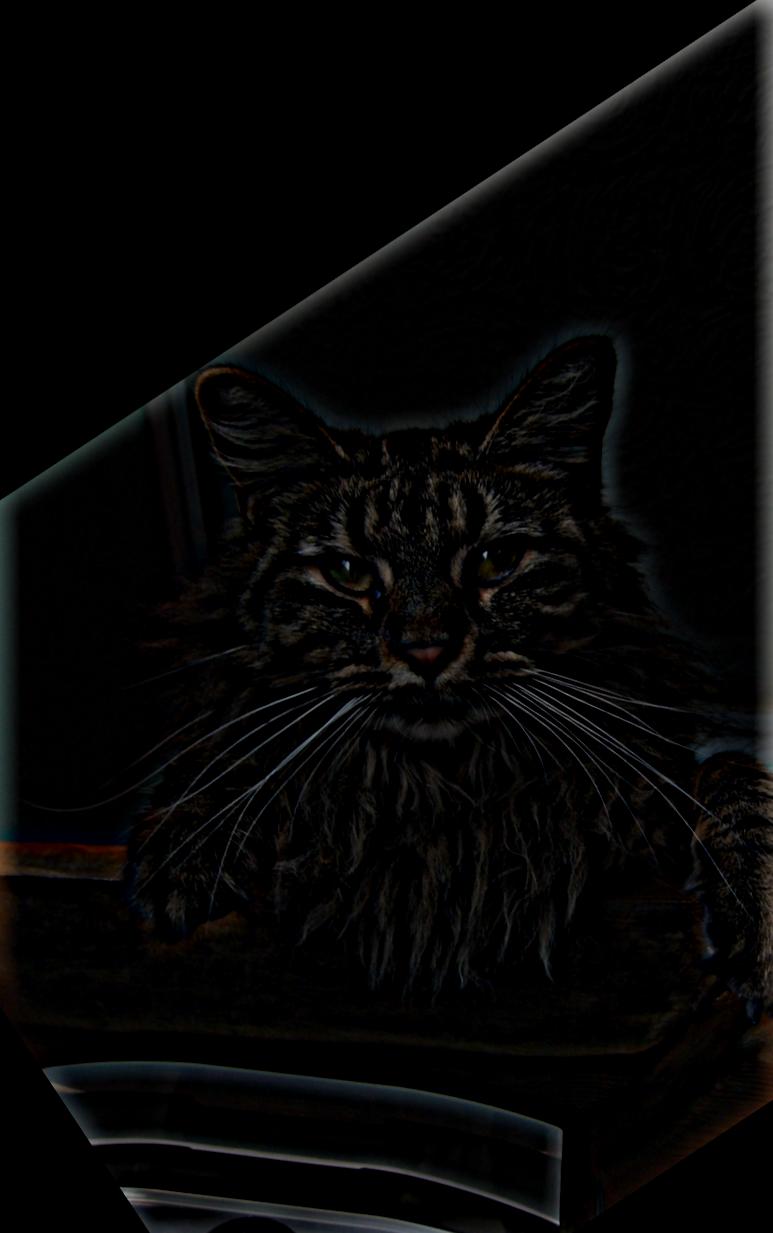 q2
