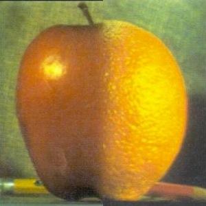 q2